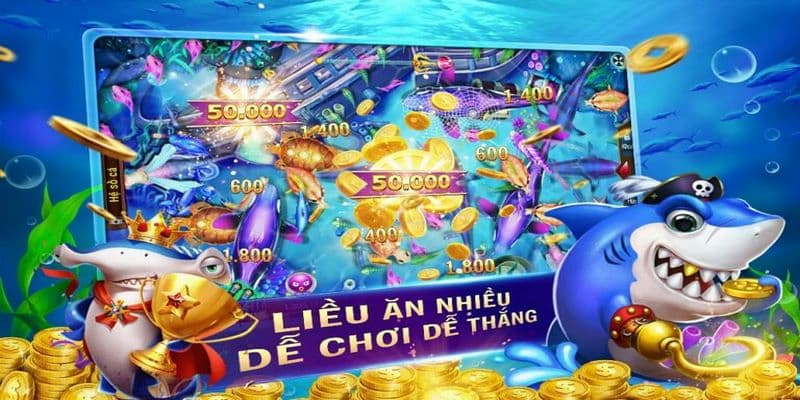 Những điều cần lưu ý khi chơi bắn cá Betta tại nhà cái hb888